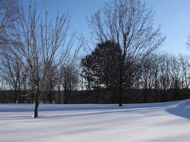 Winter Snow